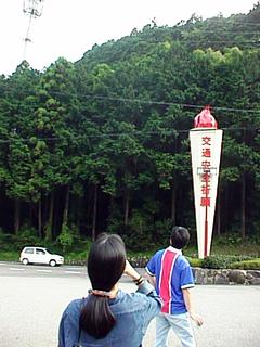 ꂪAei`