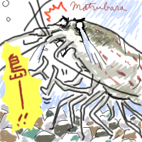 イラスト 5.png