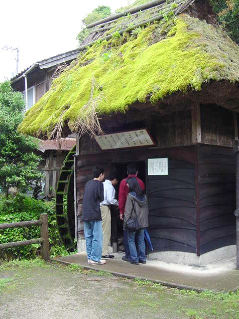 DSC00085